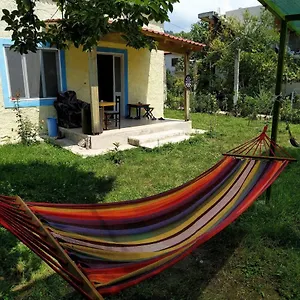Auberge de jeunesse Backpacker 